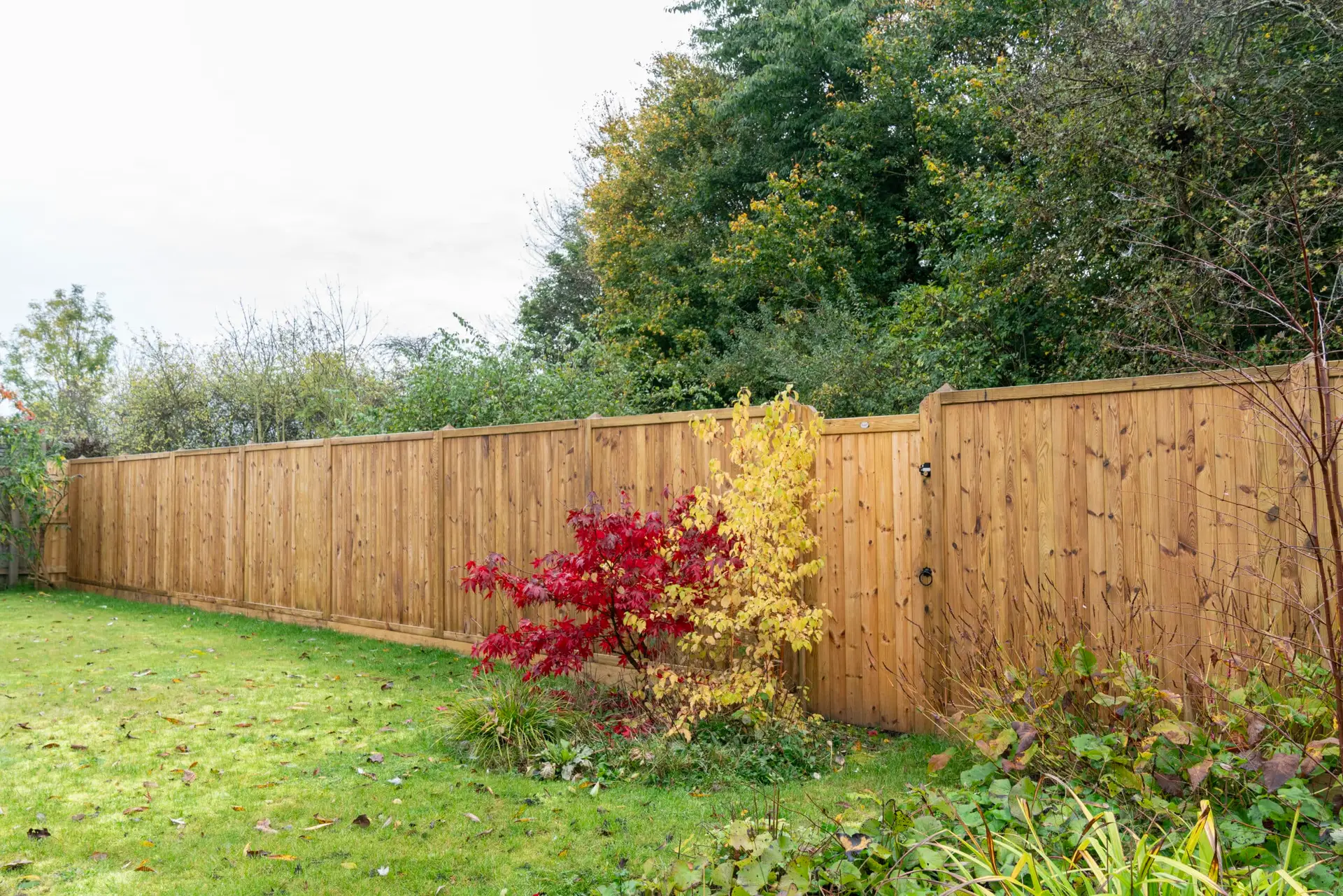 Domestic Fencing featuring a continuous line of vertical timber closeboard privacy panels framing a garden lawn.