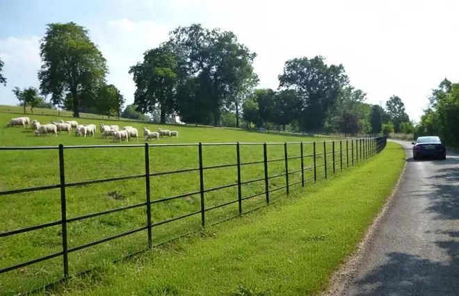 Farm fencing installed to protect the animals and the public using vehicles on the side of the road